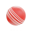 cricket-ball